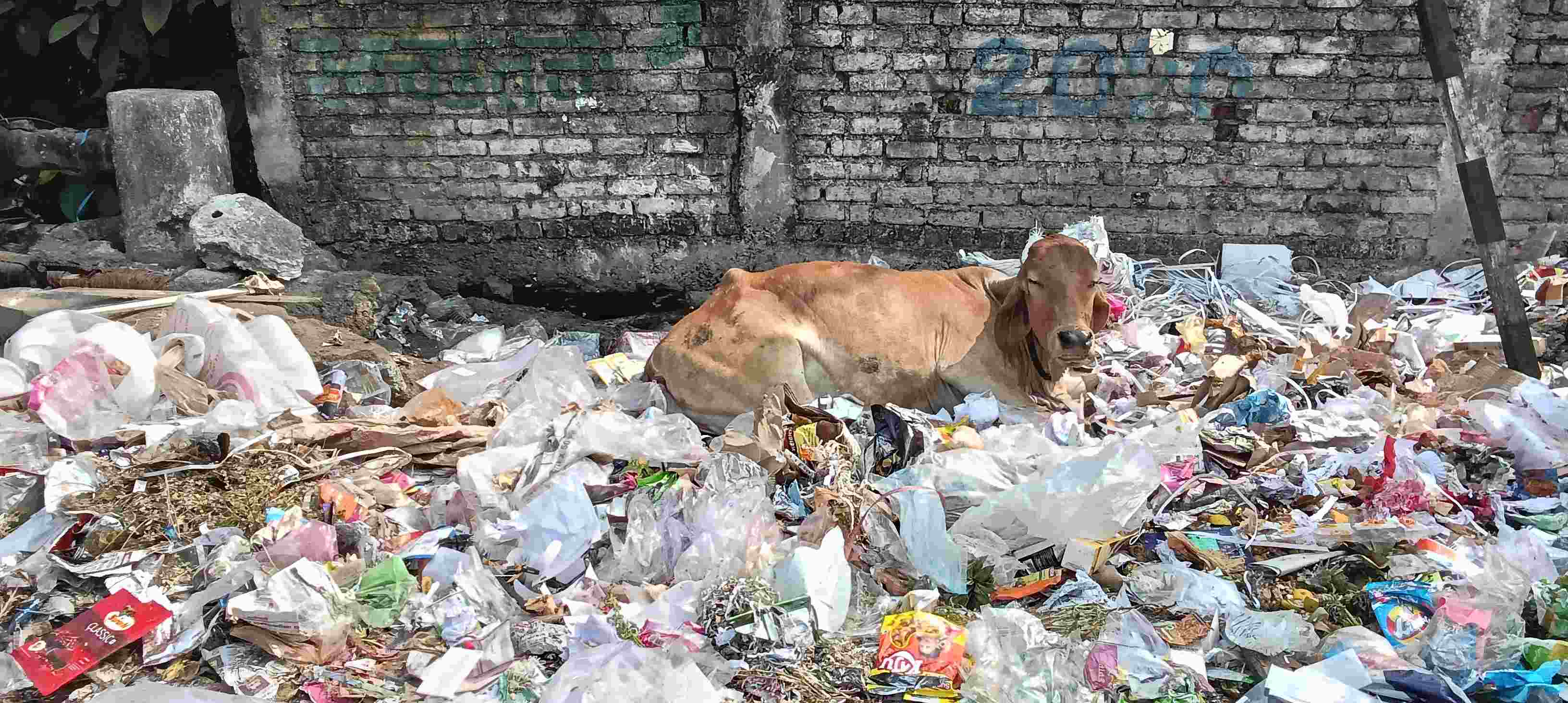 सोशल मीडिया पर चला स्वच्छता अभियान, ज़मीनी हकीकत में वर्धा शहर के हालात जस के तस